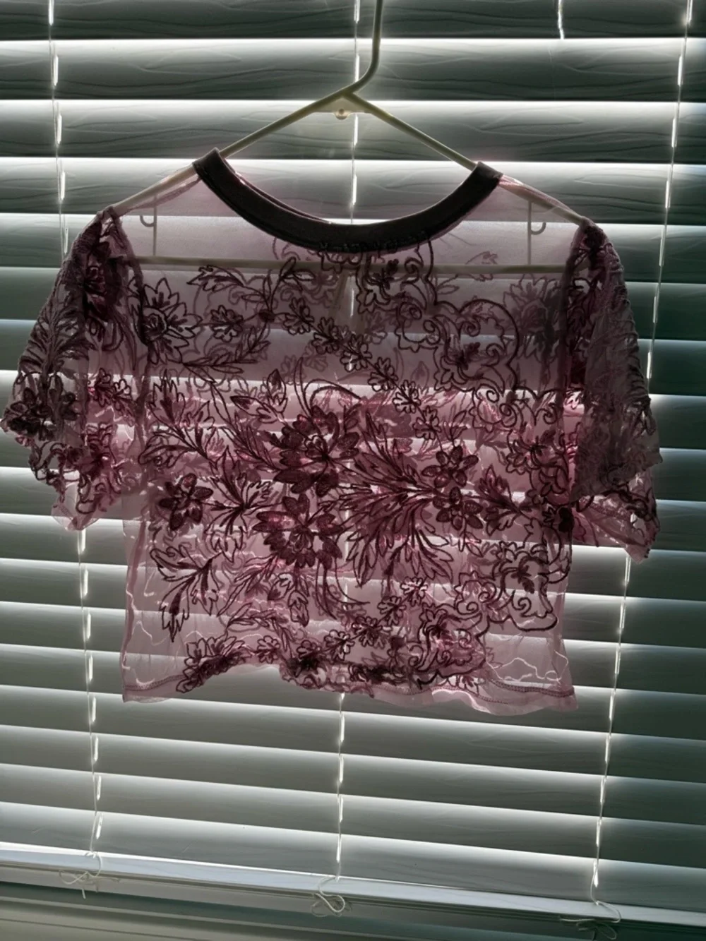 Anthropologie Mauve Floral Sheer Embroidered Crop Top - Picture 1 of 2